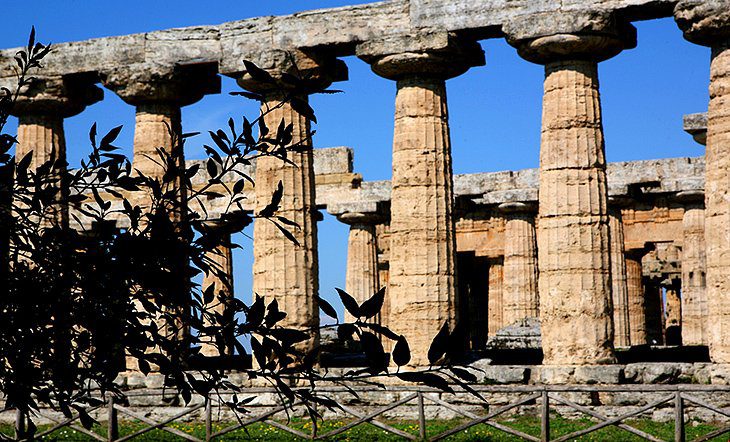 Exploring the Top Attractions of Paestum: A Visitors Guide