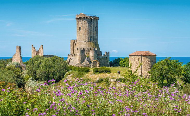 Exploring the Top Attractions of Paestum: A Visitors Guide