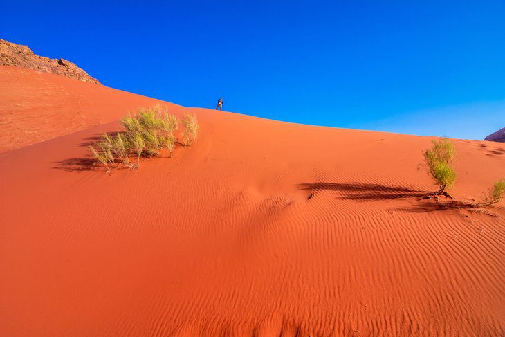 Exploring Wadi Rum: A Visitors Guide