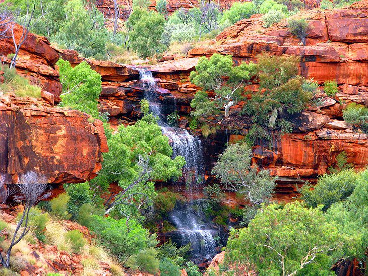 Exploring Watarrka National Park (Kings Canyon)