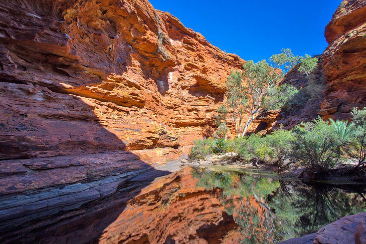 Exploring Watarrka National Park (Kings Canyon)