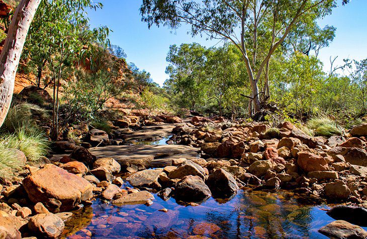 Exploring Watarrka National Park (Kings Canyon)