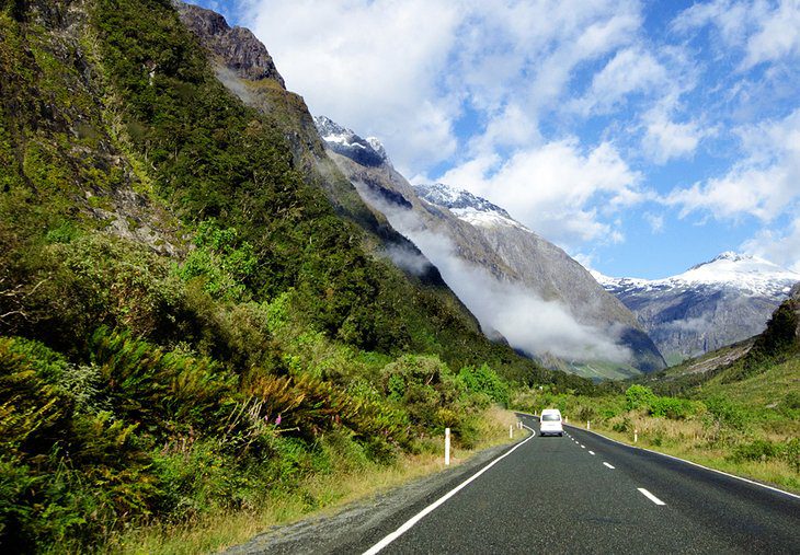 Fiordland National Park: Top Hikes & Things to Do