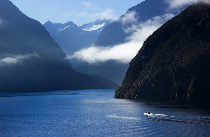 Fiordland National Park: Top Hikes & Things to Do