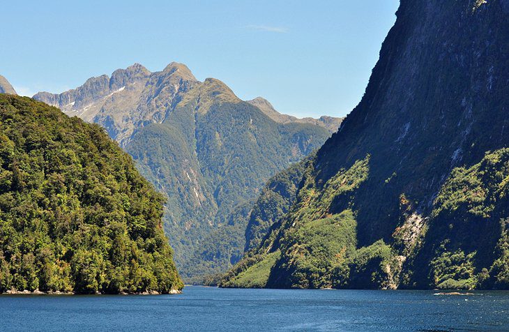 Fiordland National Park: Top Hikes & Things to Do