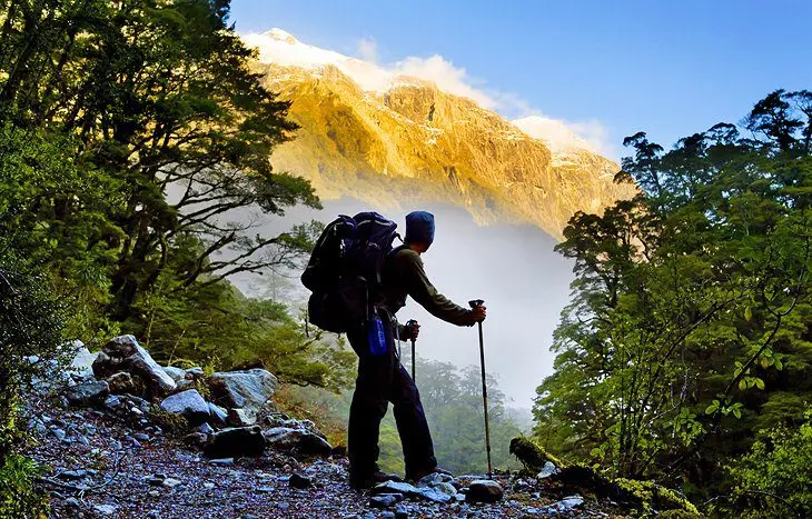 Fiordland National Park: Top Hikes & Things to Do