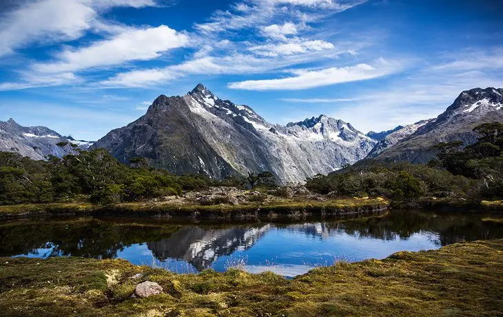 Fiordland National Park: Top Hikes & Things to Do