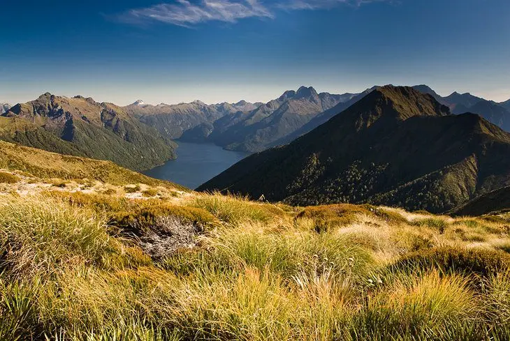 Fiordland National Park: Top Hikes & Things to Do