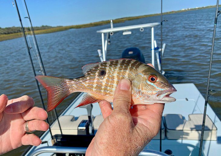 Fishing in St. Augustine: 8 Things to Know