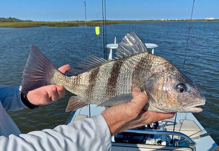 Fishing in St. Augustine: 8 Things to Know