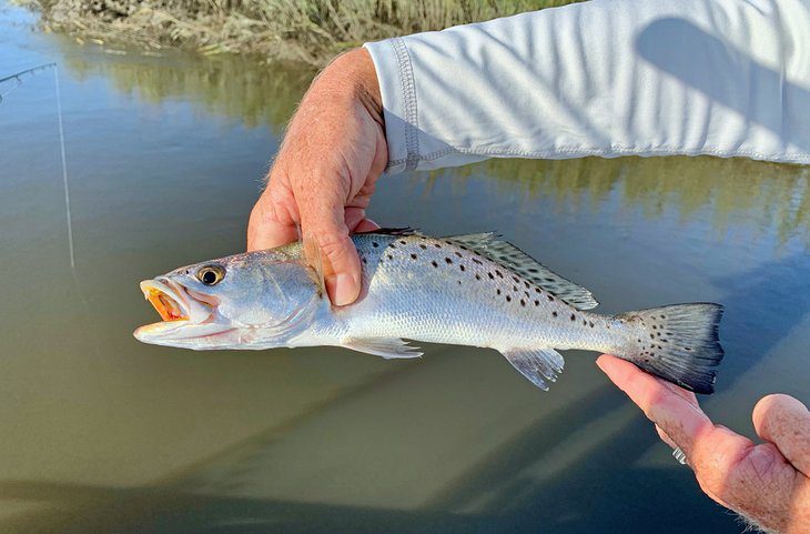 Fishing in St. Augustine: 8 Things to Know