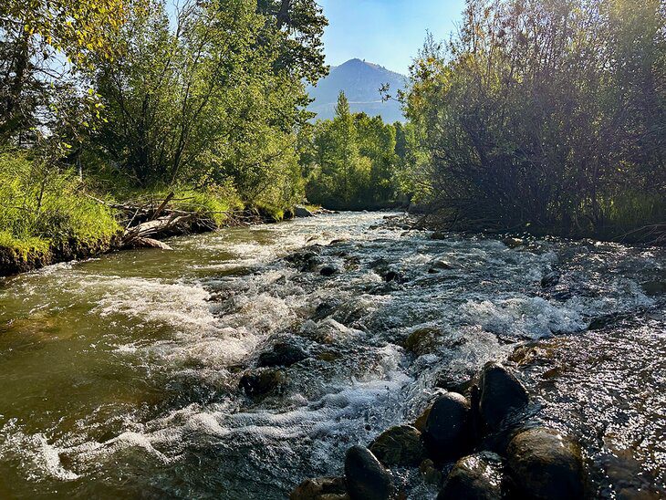 Fishing Near Yellowstone National Park: Tips, Techniques & Where to Go