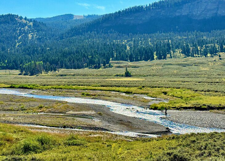 Fishing Near Yellowstone National Park: Tips, Techniques & Where to Go