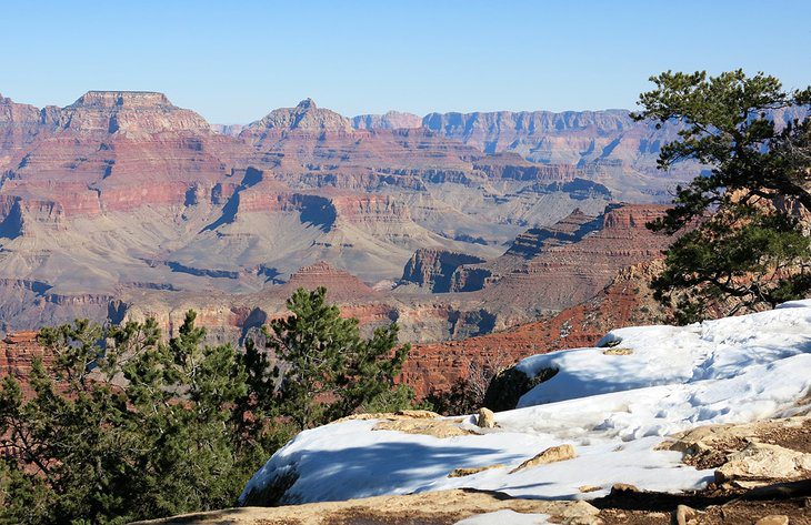 From Flagstaff to the Grand Canyon: 5 Best Ways to Get There