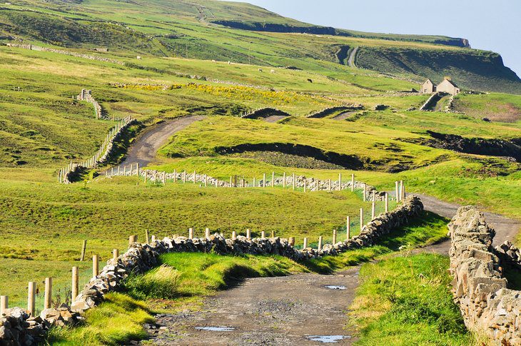 From Galway to the Cliffs of Moher: 5 Best Ways to Get There