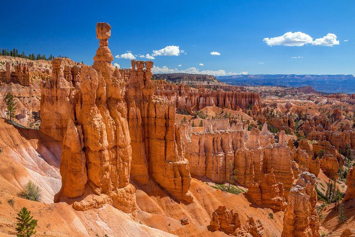 From Las Vegas to Bryce Canyon National Park: 4 Best Ways to Get There