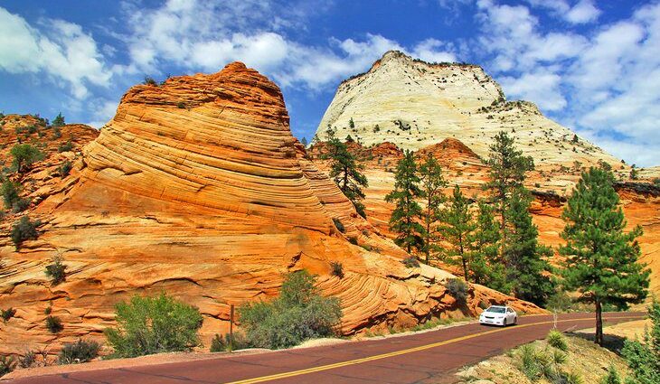 From Las Vegas to Zion National Park: 4 Best Ways to Get There