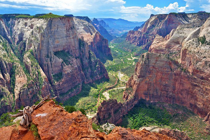 From Las Vegas to Zion National Park: 4 Best Ways to Get There