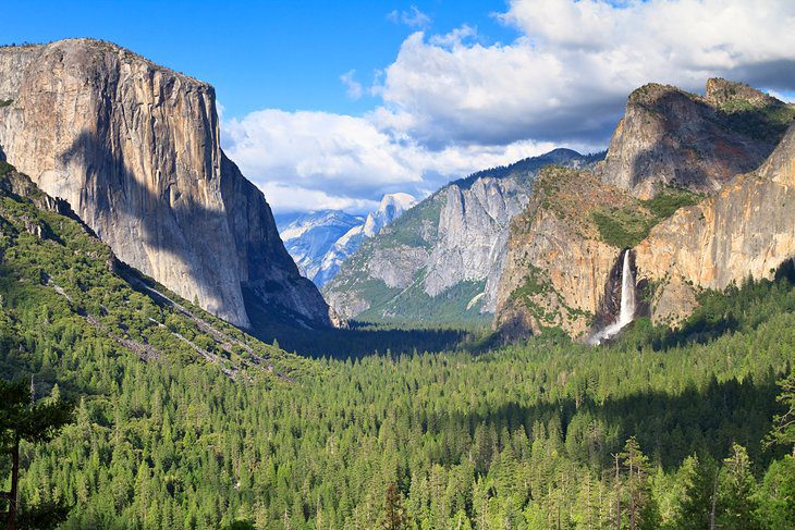 From Los Angeles to Yosemite National Park: 4 Best Ways to Get There