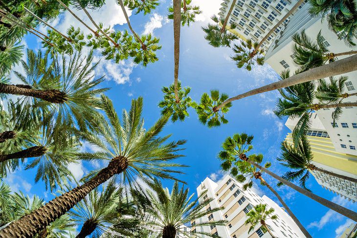 From Orlando to Miami: 6 Best Ways to Get There