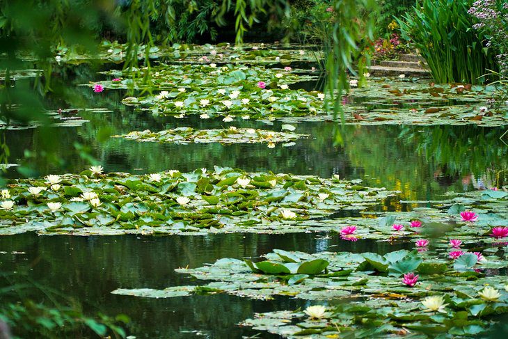 From Paris to Giverny: 4 Best Ways to Get There