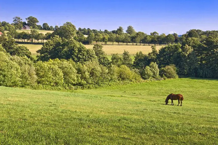 From Paris to Giverny: 4 Best Ways to Get There