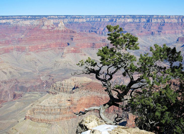 From Phoenix to the Grand Canyon: 5 Best Ways to Get There