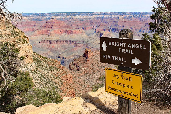 From Phoenix to the Grand Canyon: 5 Best Ways to Get There