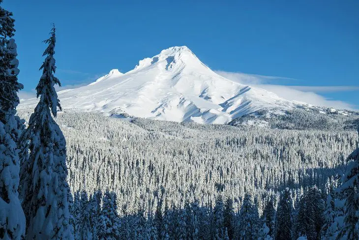 From Portland to Mount Hood: 4 Best Ways to Get There