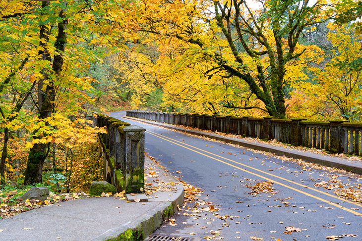 From Portland to Multnomah Falls: 5 Best Ways to Get There