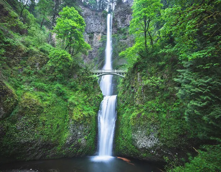 From Portland to Multnomah Falls: 5 Best Ways to Get There