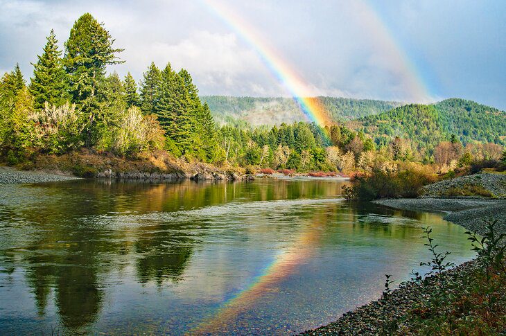 From San Francisco to Redwood National & State Parks: 4 Best Ways to Get There