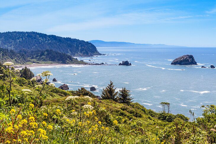 From San Francisco to Redwood National & State Parks: 4 Best Ways to Get There