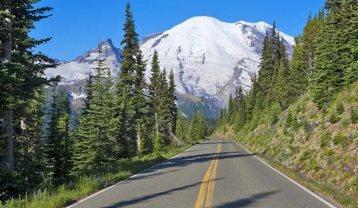 From Seattle to Mt. Rainier: 4 Best Ways to Get There