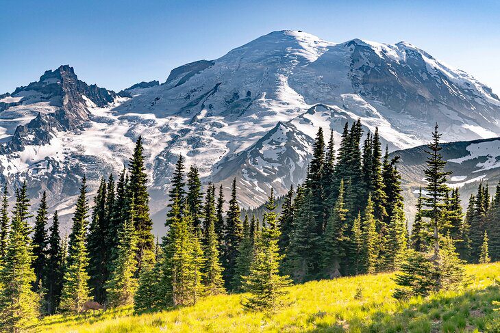 From Seattle to Mt. Rainier: 4 Best Ways to Get There