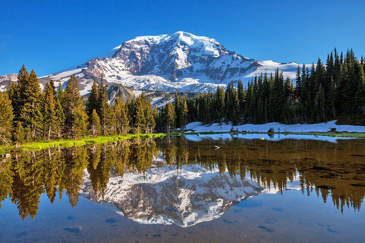 From Seattle to Mt. Rainier: 4 Best Ways to Get There