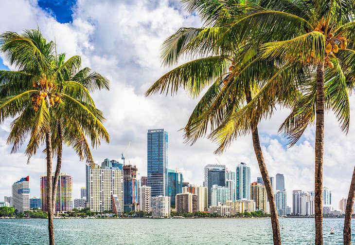 From Tampa to Miami: 5 Best Ways to Get There