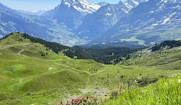 Hiking in Grindelwald: Finding the Allure of the Trail in the Swiss Alps