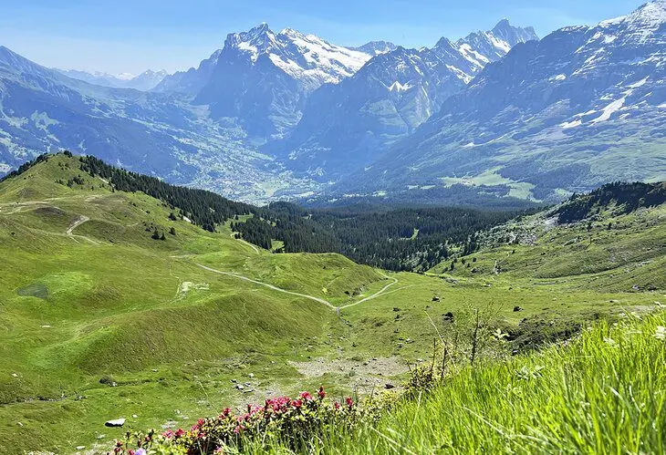 Hiking in Grindelwald: Finding the Allure of the Trail in the Swiss Alps