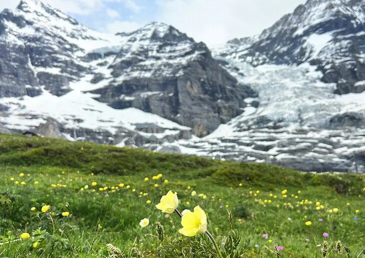 Hiking in Grindelwald: Finding the Allure of the Trail in the Swiss Alps