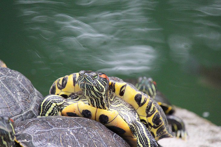 Hong Kong in Pictures: 16 Beautiful Places to Photograph