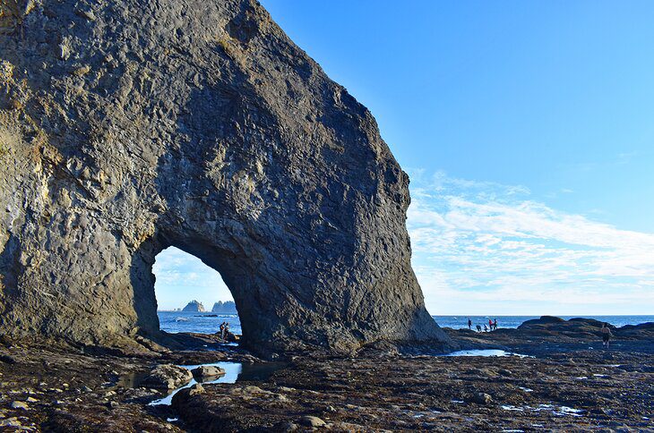 How to Explore Olympic National Park Without a Car