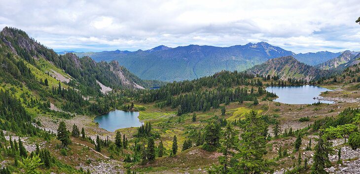 How to Explore Olympic National Park Without a Car