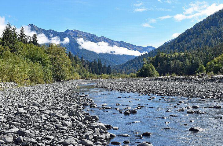 How to Explore Olympic National Park Without a Car