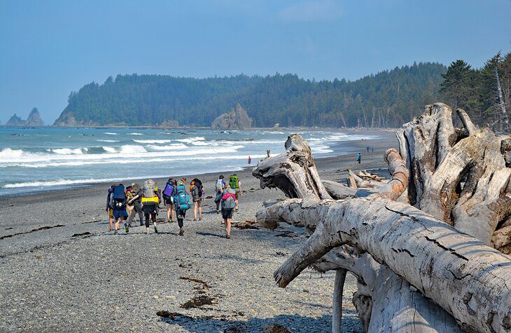 How to Explore Olympic National Park Without a Car