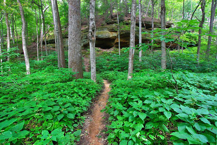 Indiana in Pictures: 18 Beautiful Places to Photograph