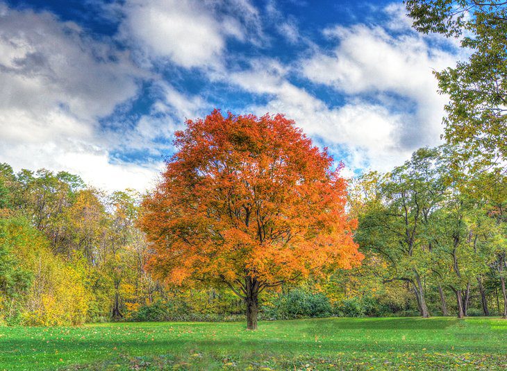 Indiana in Pictures: 18 Beautiful Places to Photograph