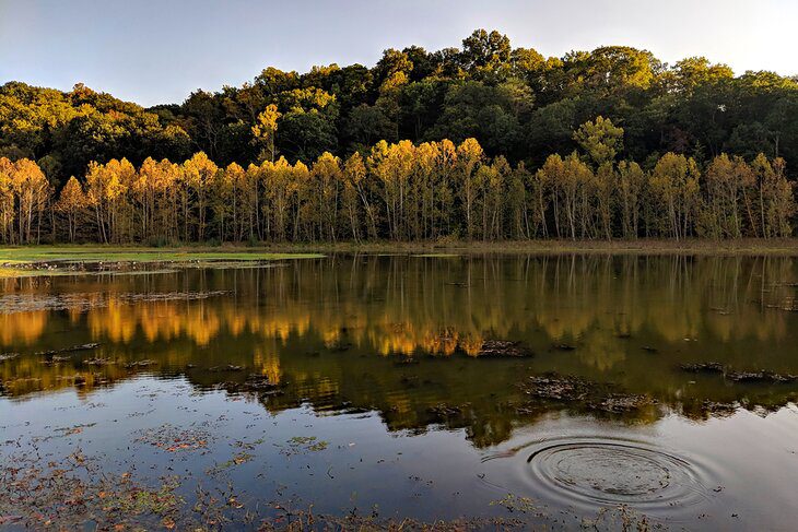 Indiana in Pictures: 18 Beautiful Places to Photograph