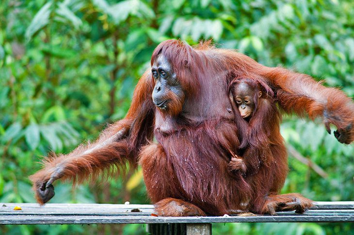 Indonesia in Pictures: 20 Beautiful Places to Photograph