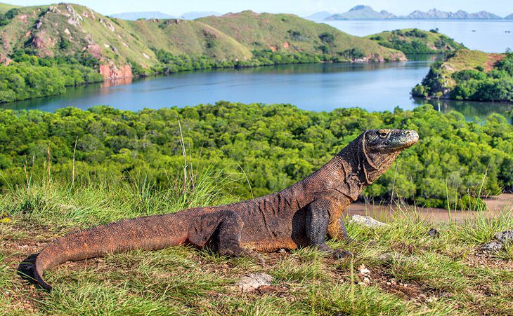 Indonesia in Pictures: 20 Beautiful Places to Photograph